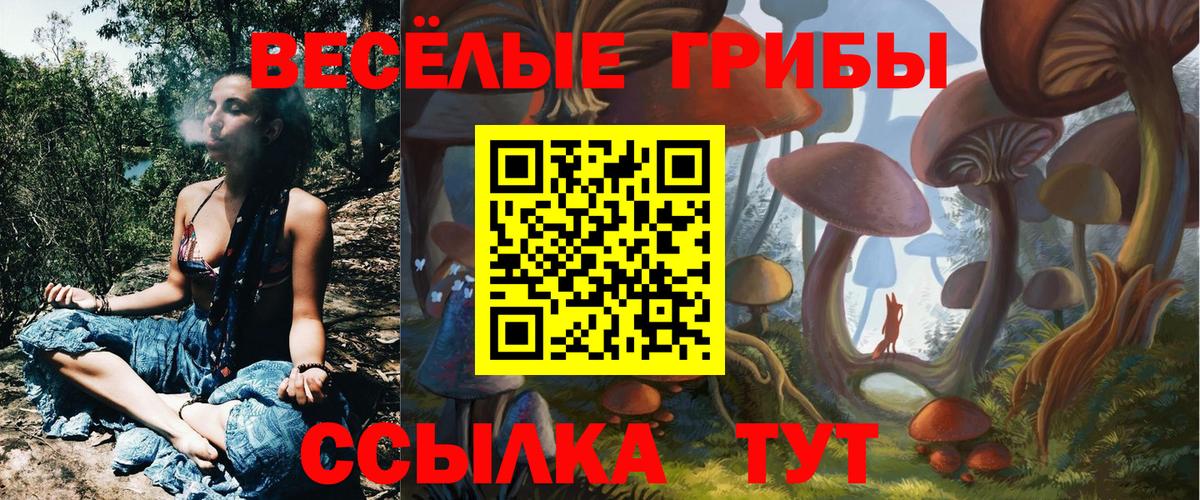 Белгород  Галлюциногенные грибы Cubensis  сколько стоит  Вход с VPN 