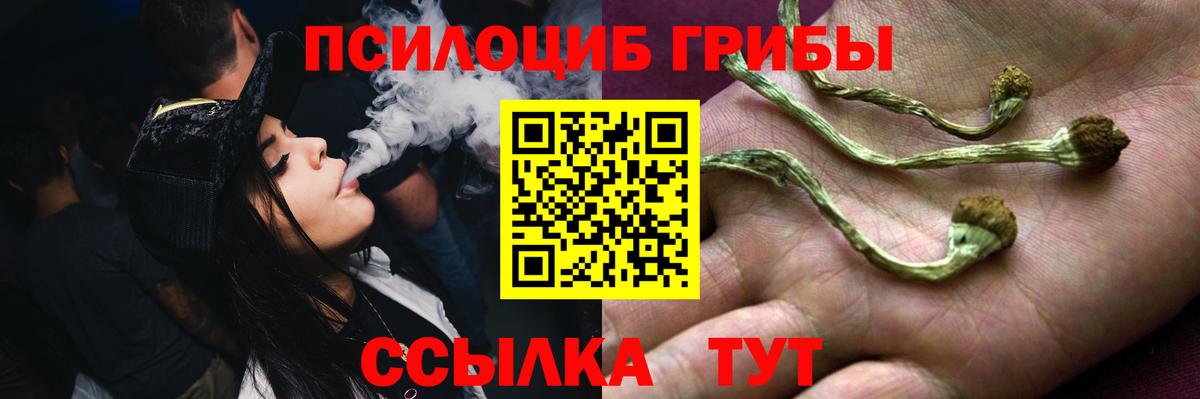 Псилоцибиновые грибы мицелий Белгород